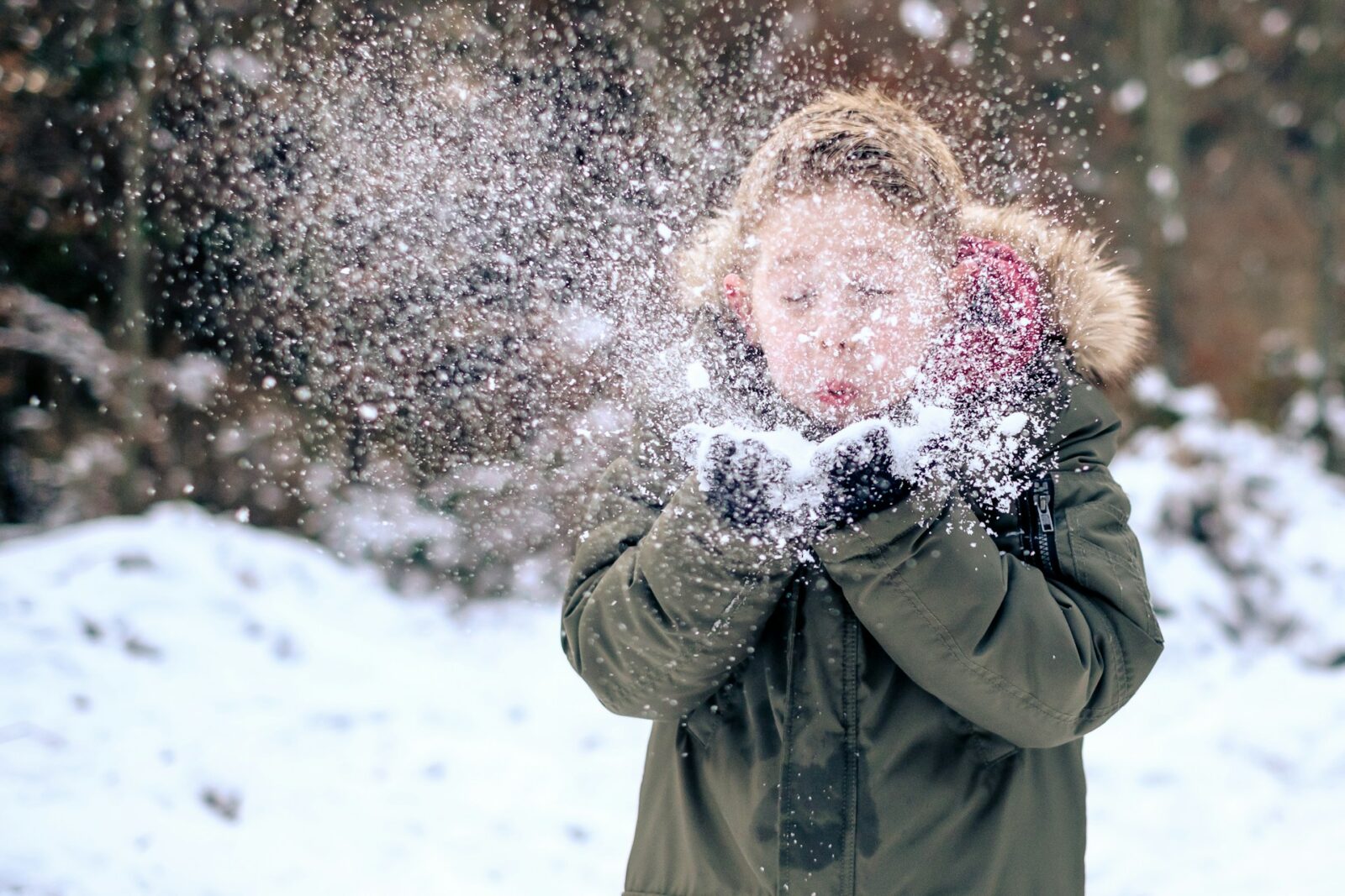 掌の雪にふーっと息を吹きかける少年