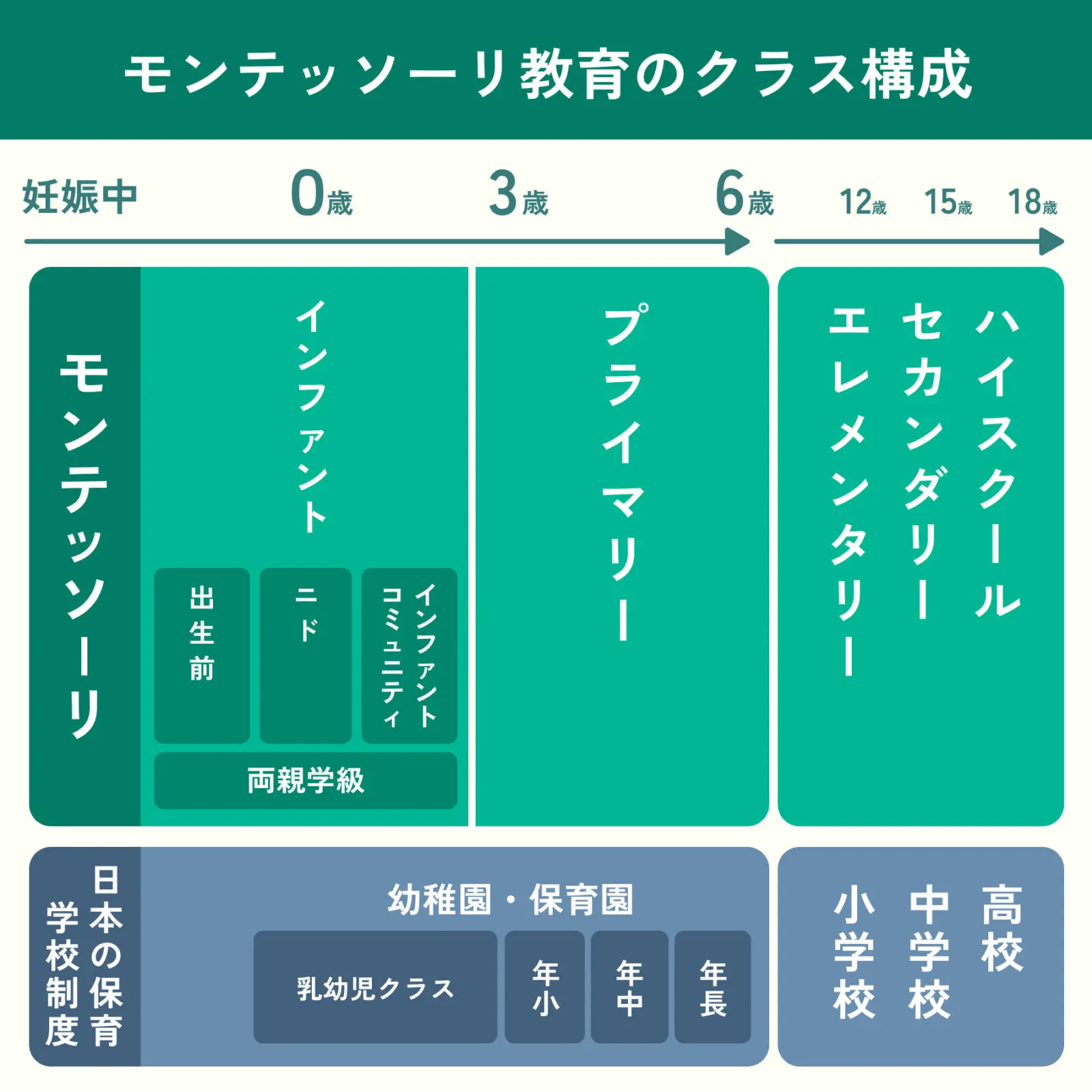 モンテッソーリ教育とは？特徴や考え方、歴史まで完全解説